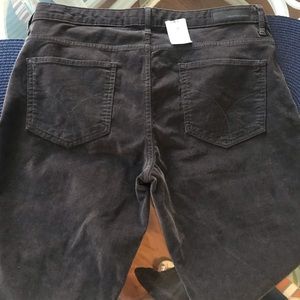 NWT Calvin Klein Pants